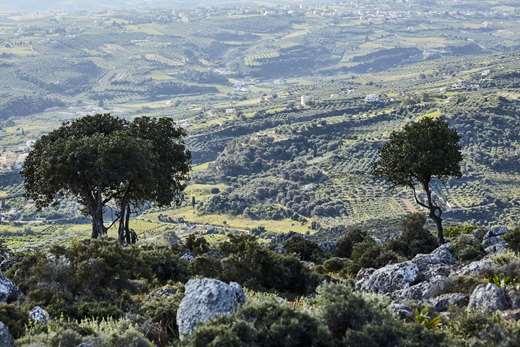Arolithos Traditional Cretan village