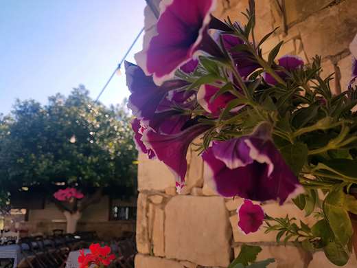 Arolithos Traditional Cretan village
