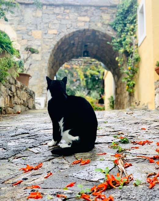 Arolithos Traditional Cretan village